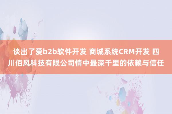谈出了爱b2b软件开发 商城系统CRM开发 四川佰风科技有限公司情中最深千里的依赖与信任