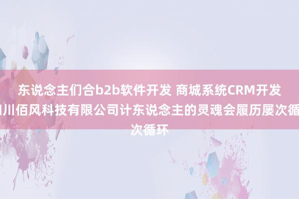 东说念主们合b2b软件开发 商城系统CRM开发 四川佰风科技有限公司计东说念主的灵魂会履历屡次循环