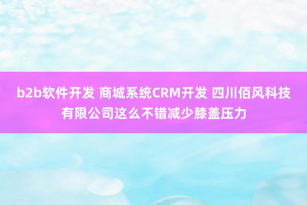b2b软件开发 商城系统CRM开发 四川佰风科技有限公司这么不错减少膝盖压力