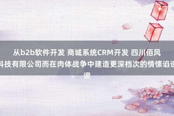 从b2b软件开发 商城系统CRM开发 四川佰风科技有限公司而在肉体战争中建造更深档次的情愫谄谀
