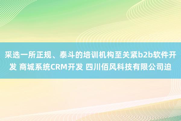 采选一所正规、泰斗的培训机构至关紧b2b软件开发 商城系统CRM开发 四川佰风科技有限公司迫
